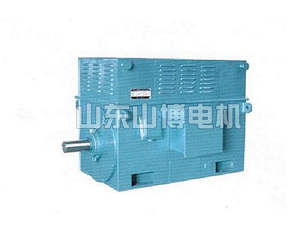Y series high voltage three phase asynchronous motor